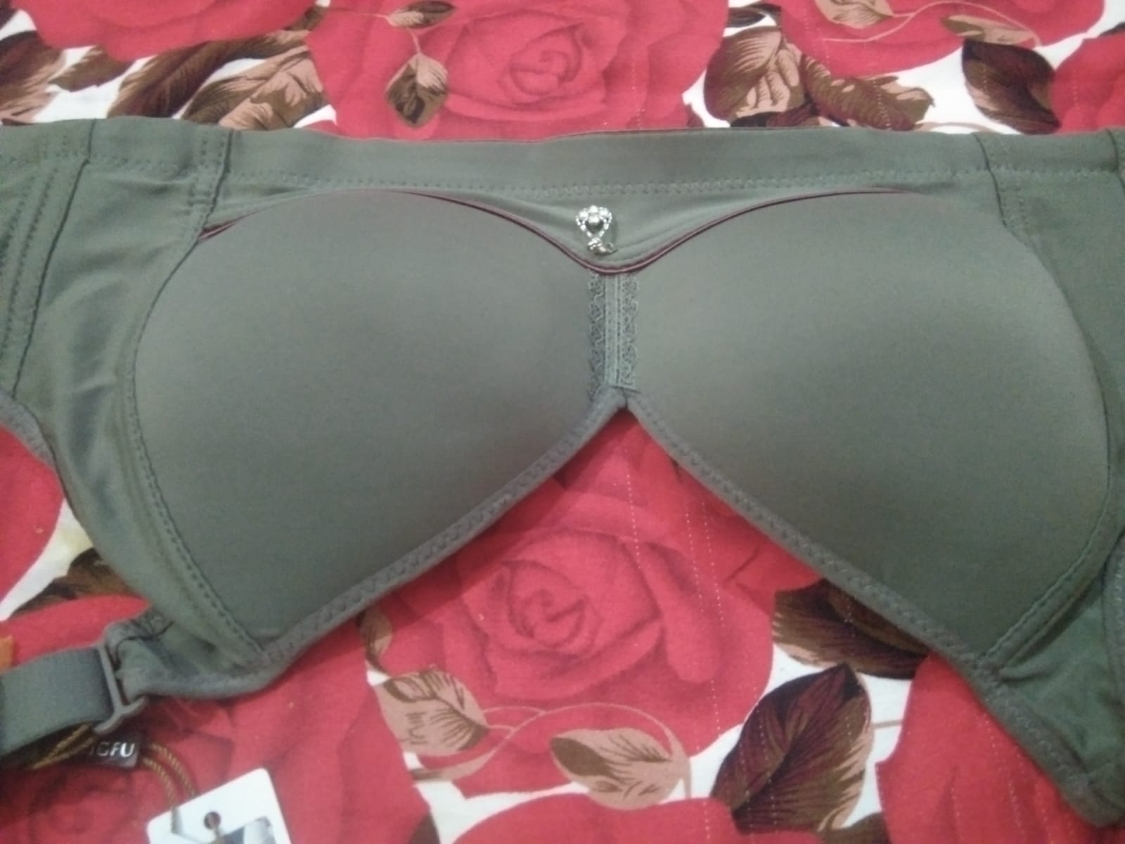 Everyday soft padded bras