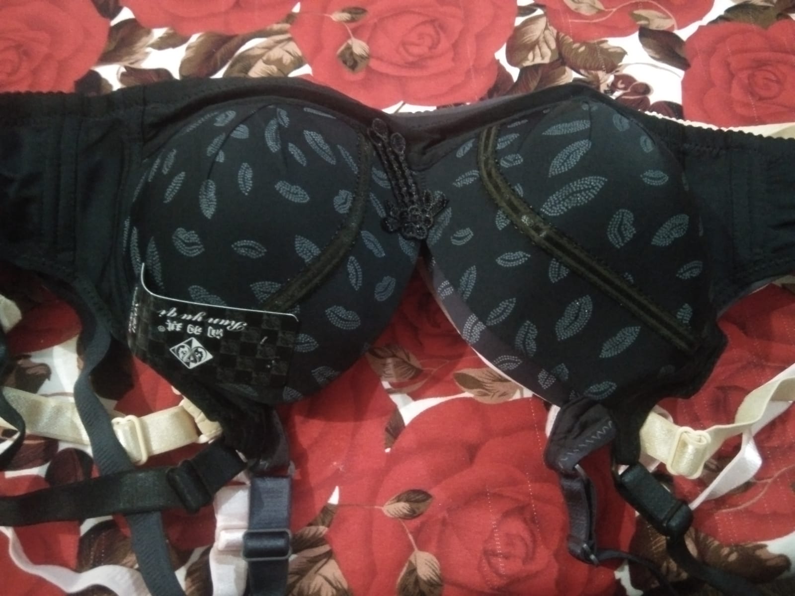 Soft Padded Bras for Women & Girls